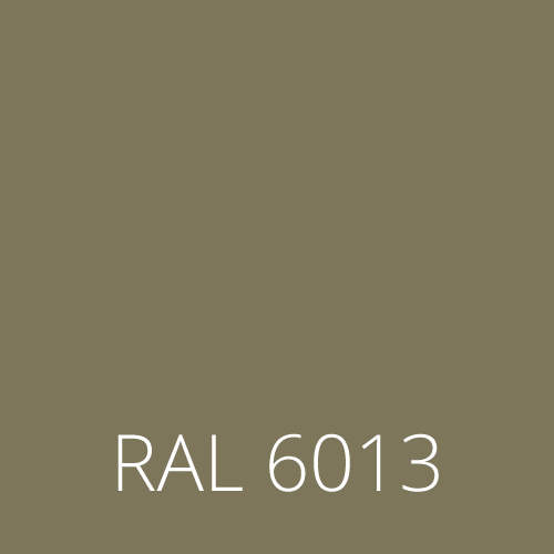 RAL 6013 trzcina zielona reed green