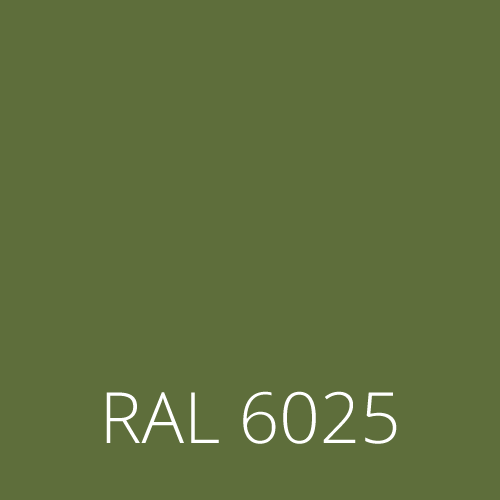 RAL 6025 paprociowa zieleń fern green